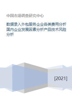 軟件外包服務企業多維剖析 成本結構、發展要素與技術風險管理